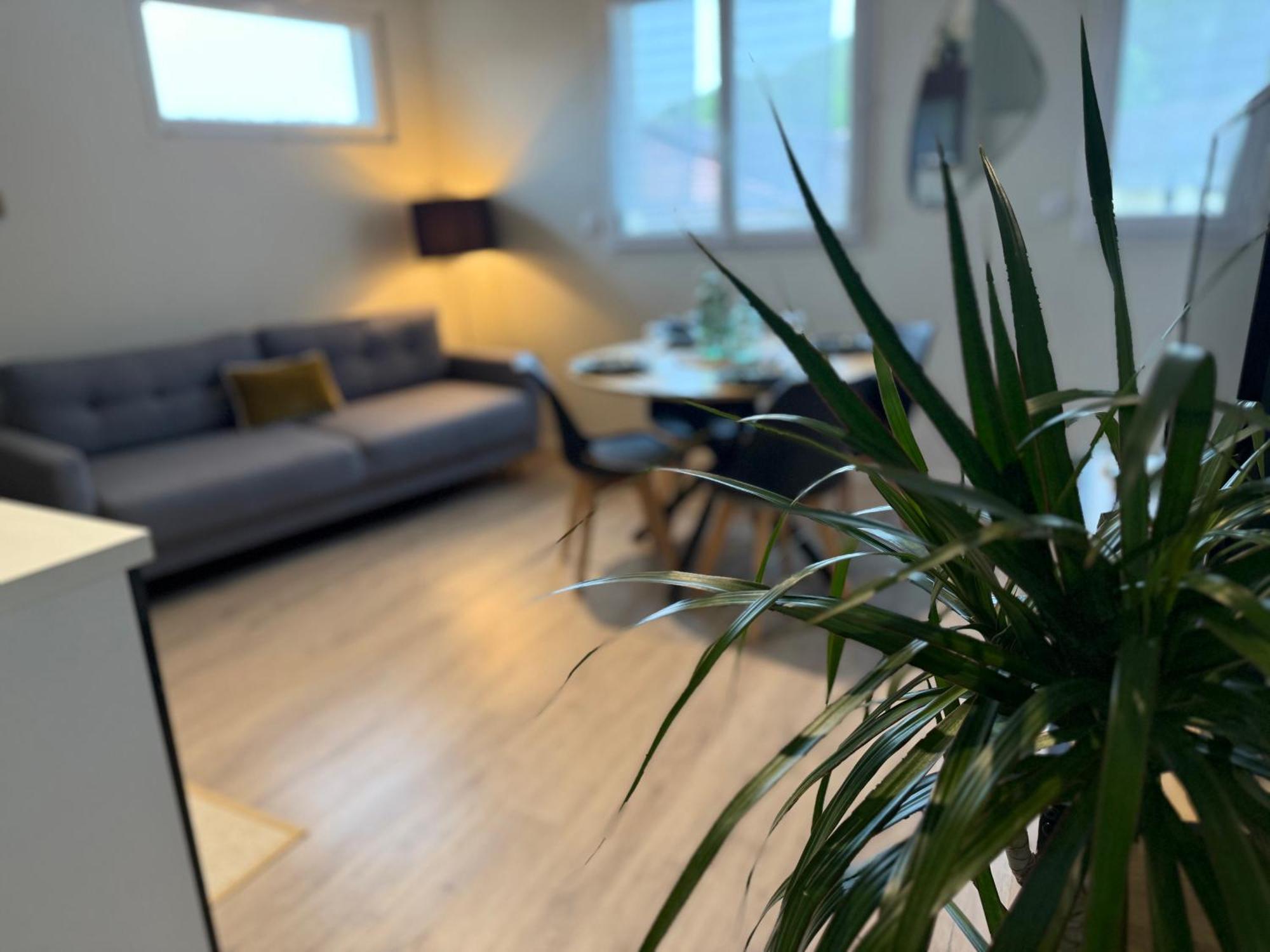 Loft, And Appartement